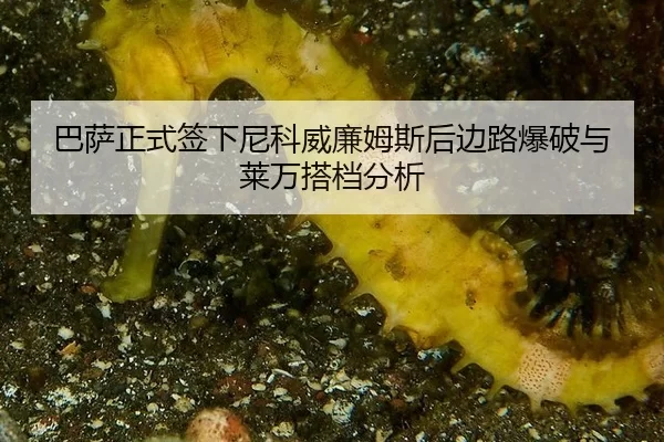 巴萨正式签下尼科威廉姆斯后边路爆破与莱万搭档分析